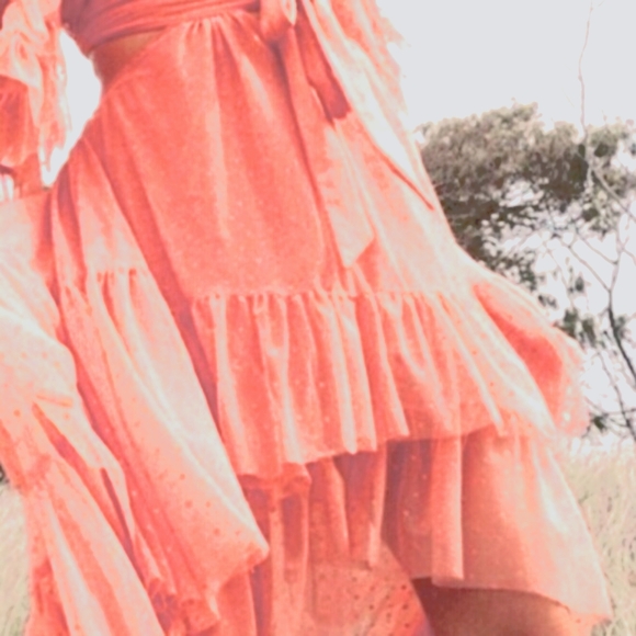 Spell & The Gypsy Grace Cut-out Sheer Tulle Gown Peach Small NWT $800+ - Picture 4 of 12